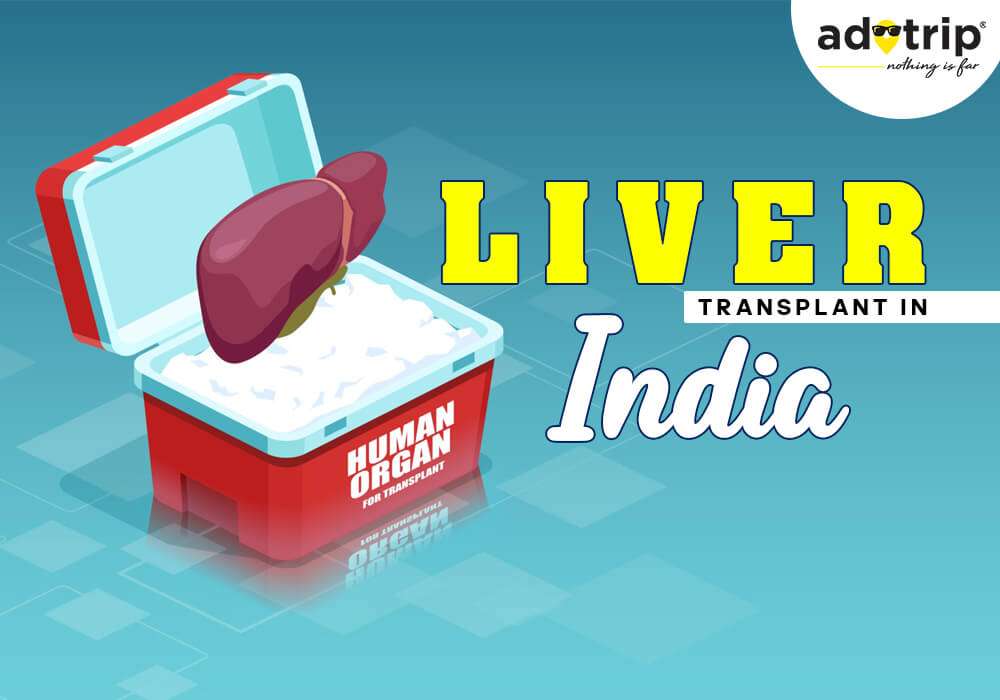 liver transplant cost in india